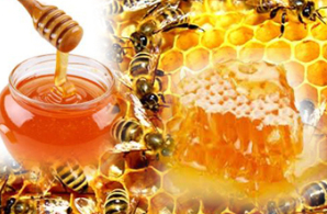 Efficacy About honey